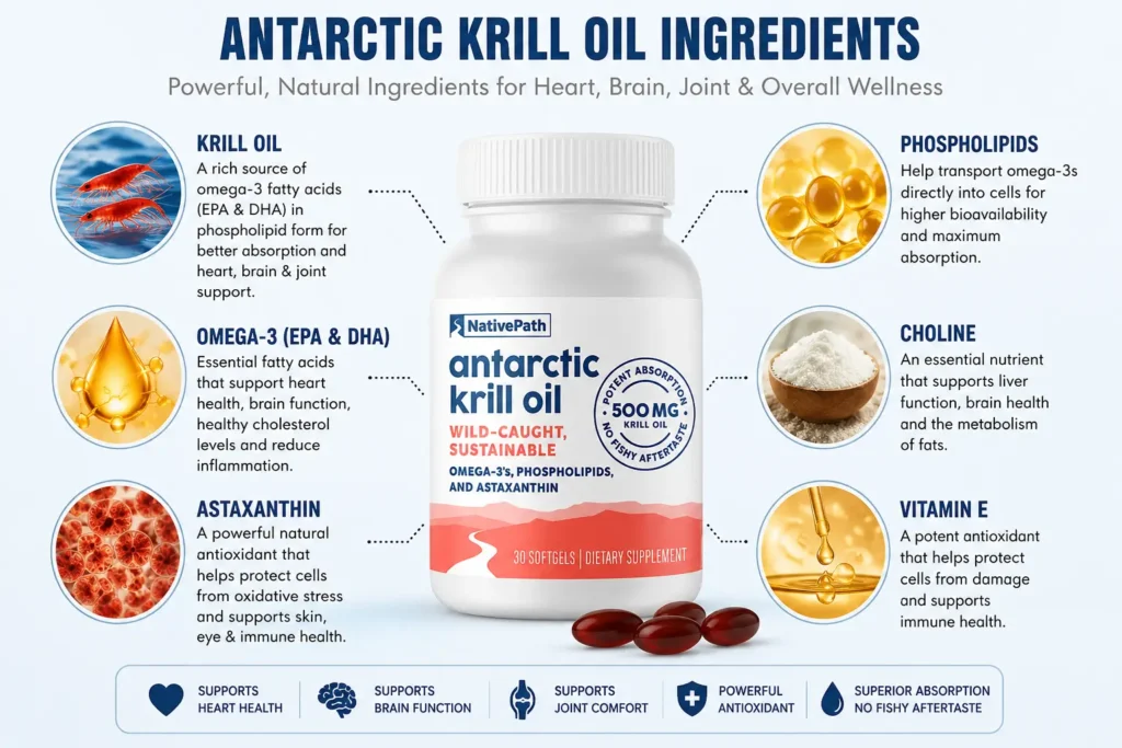 Antartic Krill Oil Ingredients
