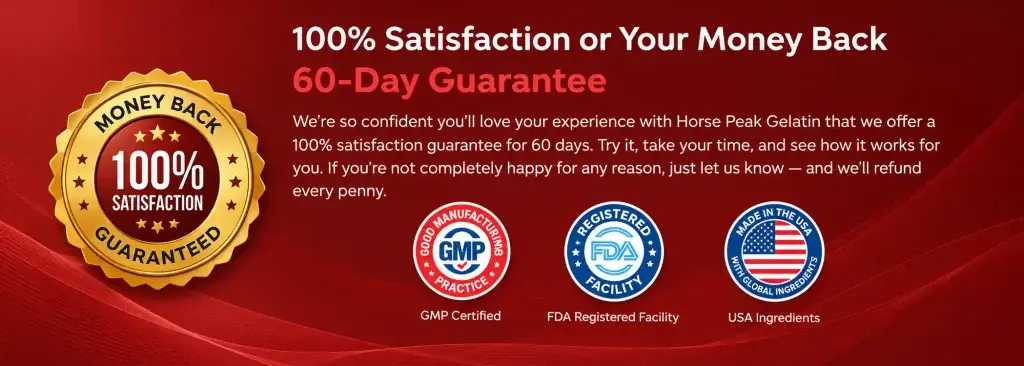 Moneyback and Refund Policy